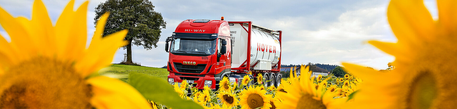HOYER truck with white foodstuffs tank container behind sunflowers